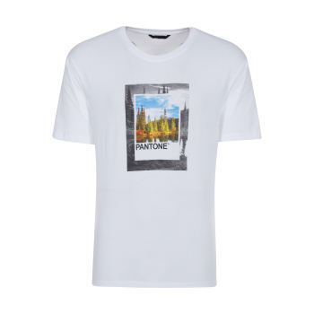 تی شرت مردانه